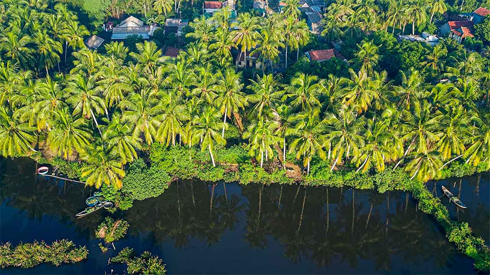 Xứ Dừa Bến Tre