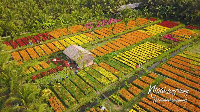 Bến Tre có gì chơi? Top 15 điểm đến du lịch đẹp và hấp dẫn tại Bến Tre