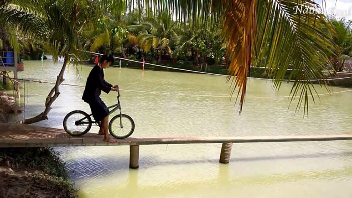 Bến Tre có gì chơi? Top 15 điểm đến du lịch đẹp và hấp dẫn tại Bến Tre