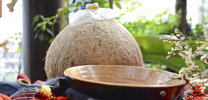 Cách làm rượu dừa thơm ngon đúng chuẩn