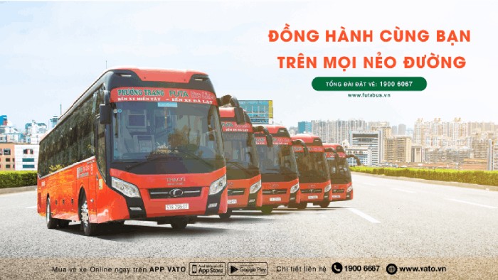 Xe Bến Tre đi Đà Lạt hiện nay có những nhà xe nào bạn có thể chọn?