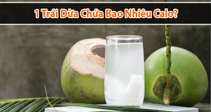 1 trái dừa bao nhiêu calo? Uống nước dừa có tác dụng gì?