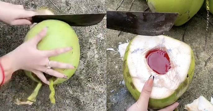 Dừa dâu là gì? Tất tần tật thông tin về dừa dâu