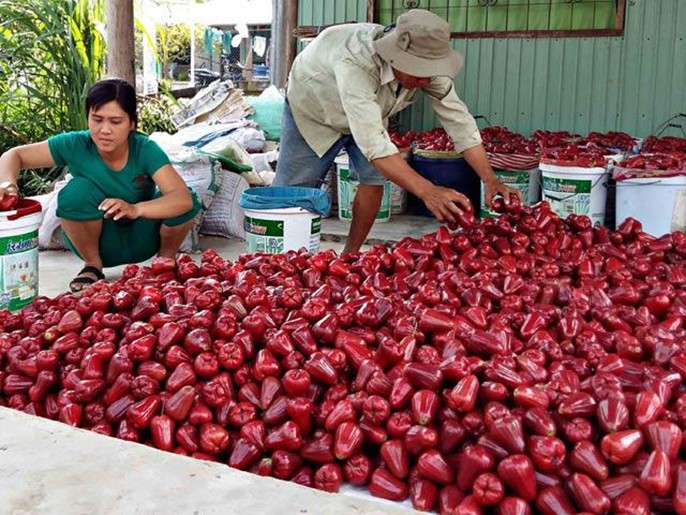 An Phước bến tre - Điểm đến du lịch hấp dẫn 
