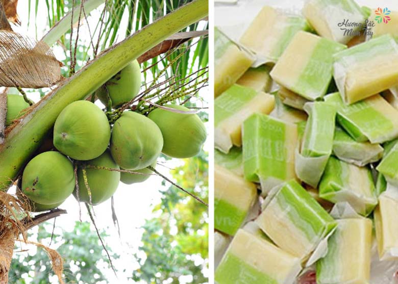 Top 5 loại kẹo dừa Bến Tre ngon nhất hiện nay