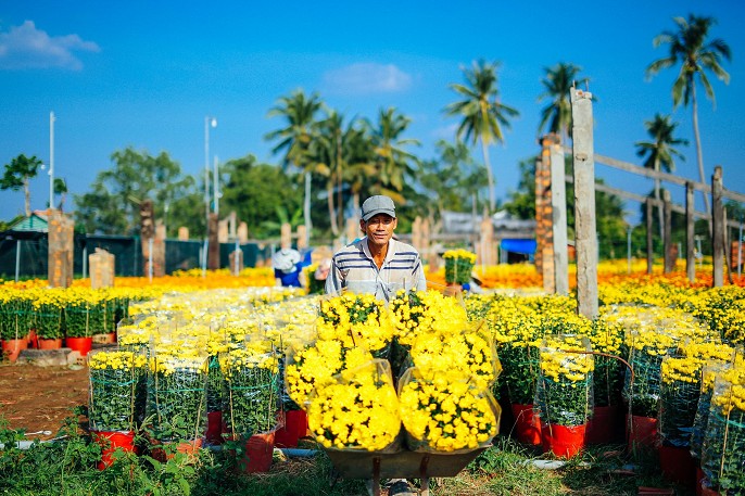 Top 5 khu du lịch nổi tiếng tại Bến Tre mà bạn nên đến