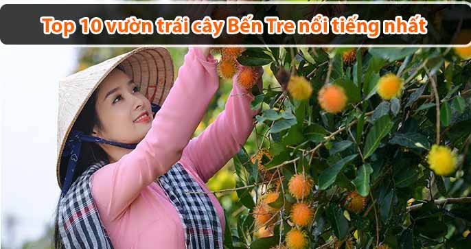 Top 10 vườn trái cây Bến Tre nổi tiếng được nhiều du khách ghé thăm