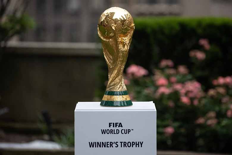 FIFA Là Gì? FIFA Có Vai Trò Gì Trong Lịch Sử Nền Bóng Đá 