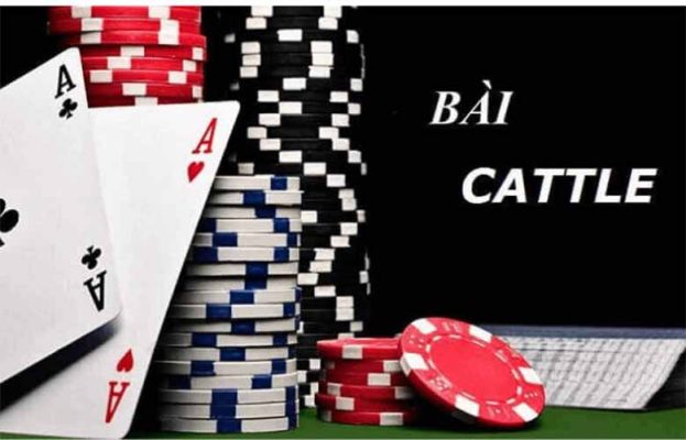 Cách chơi bài cát tê: Luật chơi, mẹo thắng và chiến thuật hay