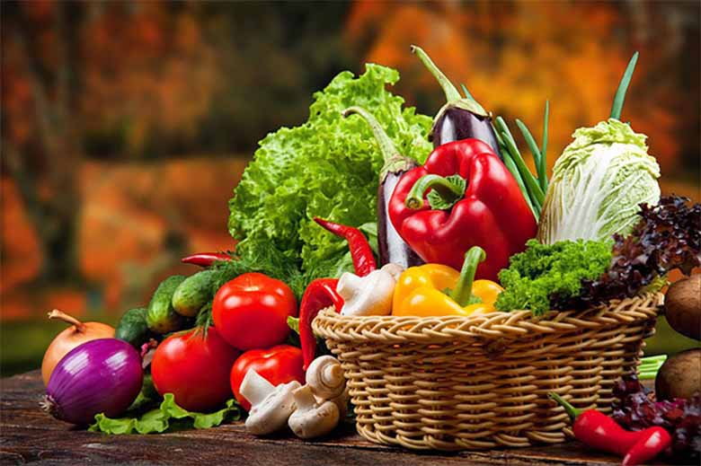 Gà đá ăn gì để khỏe mạnh và chiến đấu bền bỉ? 