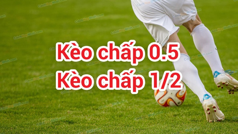 Kèo chấp 0,5 - Giải mã một dạng kèo Châu Á cho cược thủ 