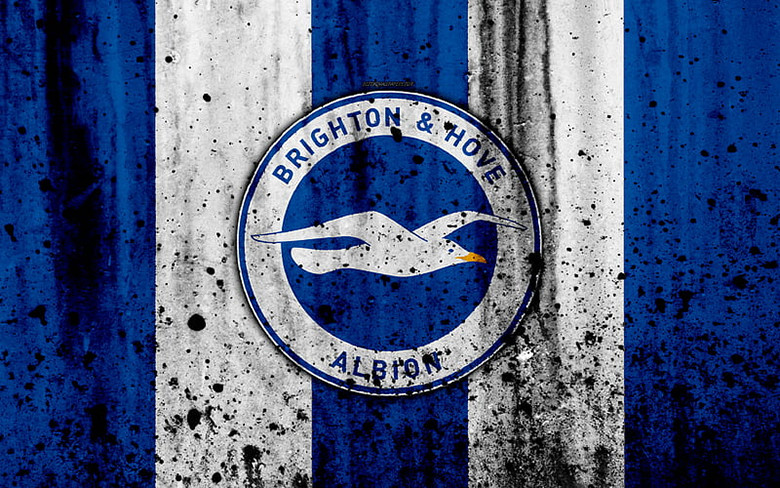 Sức Hút Đằng Sau Biểu Tượng: Ý Nghĩa Logo Brighton & Hove Albion
