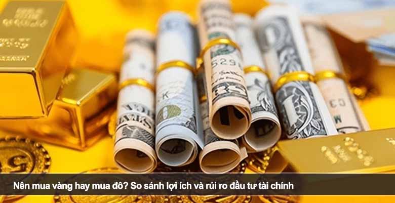 Nên mua vàng hay mua đô? So sánh lợi ích và rủi ro đầu tư tài chính