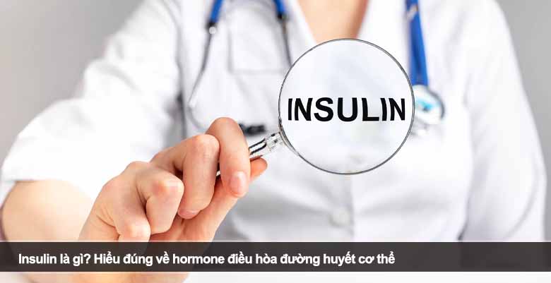 Insulin là gì? Hiểu đúng về hormone điều hòa đường huyết cơ thể 